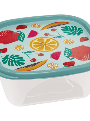 TUPPER CUADRADO FRUTA/COLIBRI 1200 ML ART 308595/4125 DAÑ