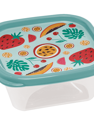 TUPPER CUADRADO FRUTAS 690 ML ART 308594/4123 DAÑ