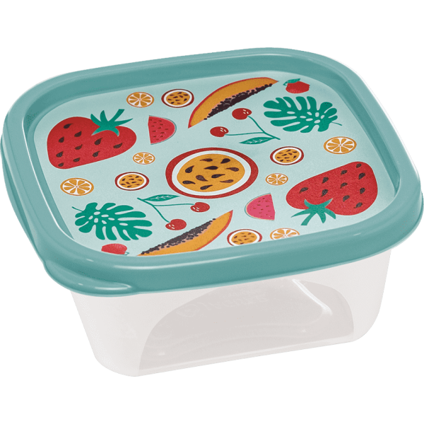 TUPPER CUADRADO FRUTAS 690 ML ART 308594/4123 DAÑ