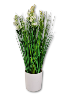 PLANTIN 10X40CM ART 27258 IAÑ