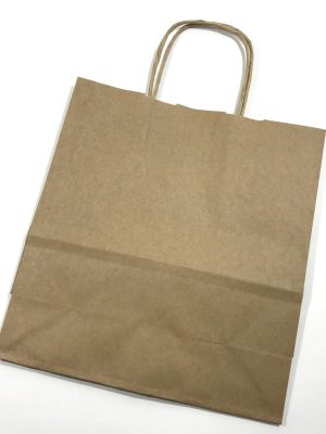 BOLSA LISA MARRON 22X10X24CM HAÑ