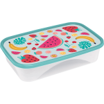HERMETICO RECT FRUTA 2.55LTS 30X20X7CM ART 308587 JAN