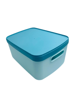 CAJA ORGANIZADORA NORDIC 12 LT ART VC-825 HAÑ