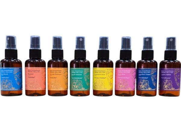 SPRAY AROMATIZANTE 60ML ART 102RB/102R GAÑ