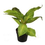 PLANTA DECO CON MACETA 8X25CM ART 201167 IAÑ