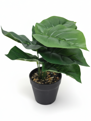 MACETA C/PLANTA OKASTICA 17CM ART NS413654 IAÑ
