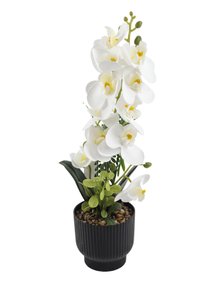 MACETA C/PLANTA C/FLORES ART NS413379 IAÑ