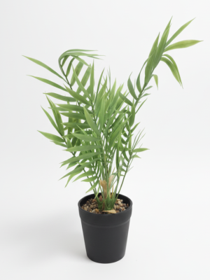 MACETA NEGRA 40X6,5CM C/PLANTA ALTA ART NS413376 IAÑ