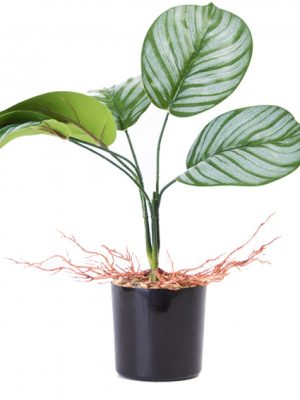 PLANTA CON MACETA PLASTICA 33CM JM231017/ A534006 JAÑ
