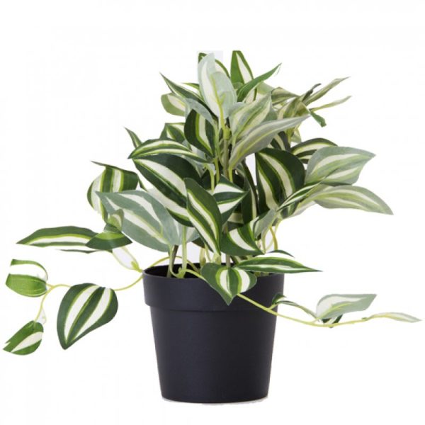 PLANTA CON MACETA PLASTICA 20CM JM231024/ A534013 JAÑ