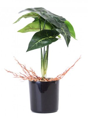PLANTA CON MACETA PLASTICA 33CM JM231013/ A534004 JAÑ