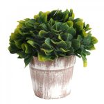 PLANTA CON MACETA 17CM JM241374A/ A534315 JAÑ