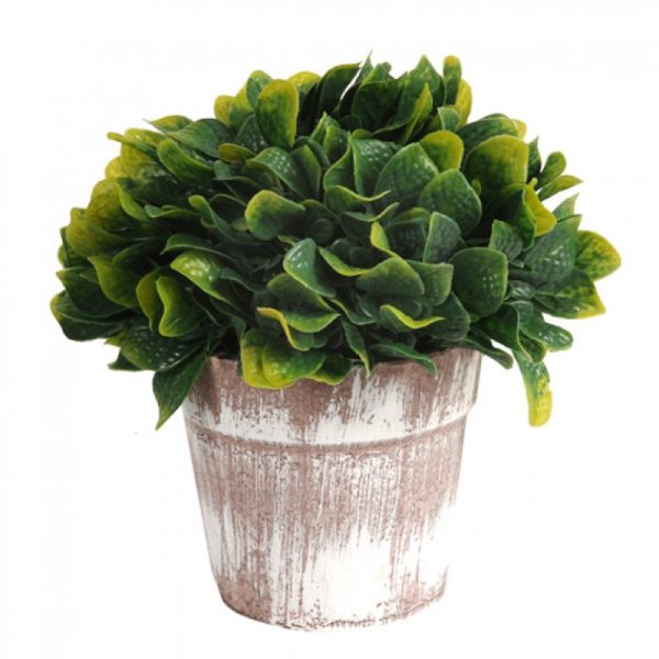 PLANTA CON MACETA 17CM JM241374A/ A534315 JAÑ