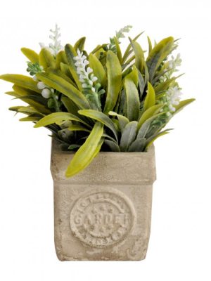 PLANTA CON MACETA 16CM ART JM241385D / A534330 JAÑ