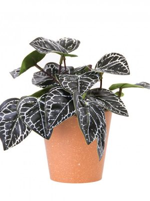 PLANTA CON MACETA PLASTICA 18CM ART JM231005 / A534000 JAÑ