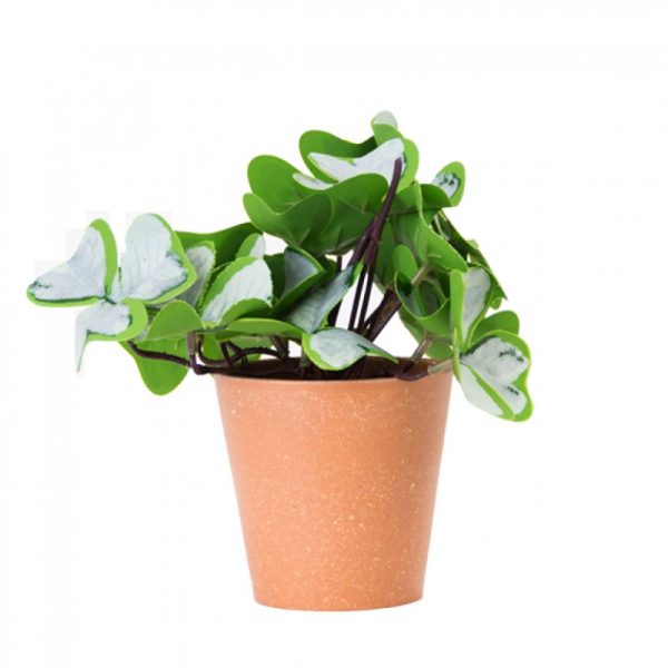 PLANTA CON MACETA PLASTICA 18CM ART JM231007 / A534002 JAÑ
