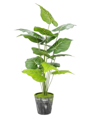 PLANTA ARTIFICIAL 70CM ART 54765 JAÑ