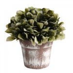 PLANTA C/MACETA 17CM ART A534317 JAÑ