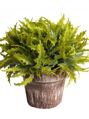 PLANTA C/MACETA 18CM ART A534320 JAÑ