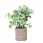 PLANTA C/MACETA 21CM ART A534009 JAÑ