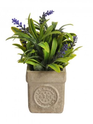 PLANTA C/ MACETA 16CM ART A534327 JAÑ