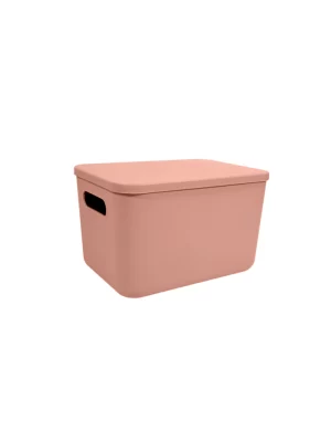 CAJA MODERNA C/TAPA PLASTICA N2 4LT ART P220 JAÑ
